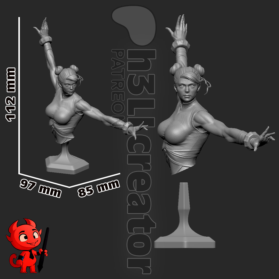 Chun-Li Garage Kit | Fanmade Model by h3llCreator | Street Fighter | 3D Printed - Sephiknot