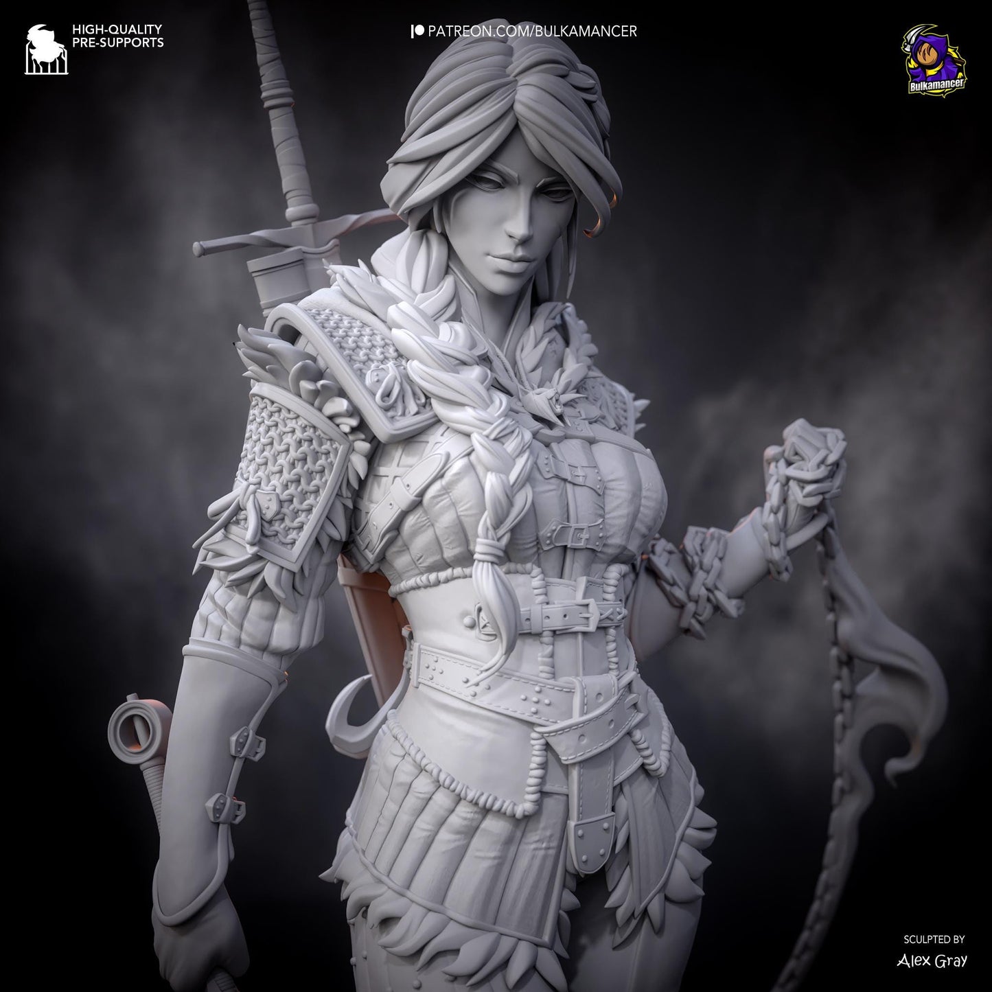 Ciri Garage Kit | Fanmade Model by Bulkamancer| The new Witcher | 3D Printed