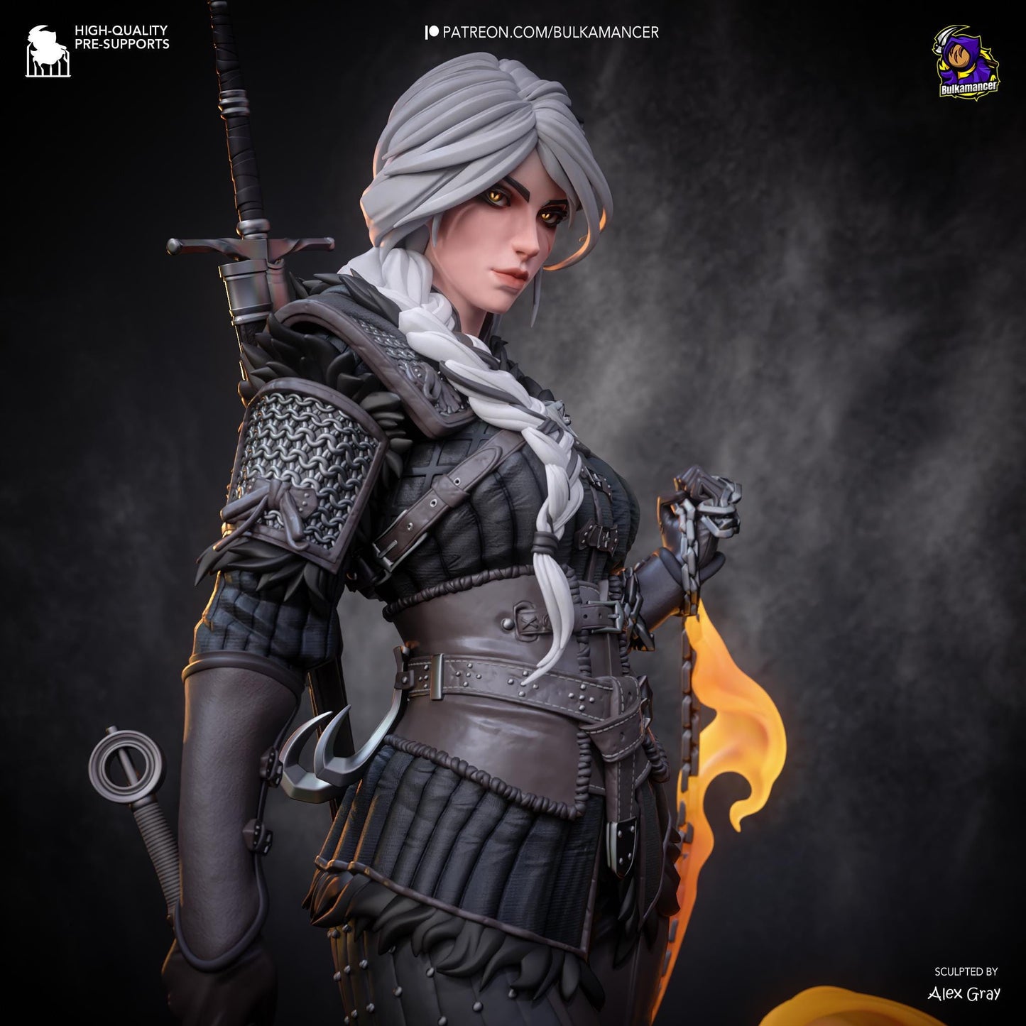 Ciri Garage Kit | Fanmade Model by Bulkamancer| The new Witcher | 3D Printed