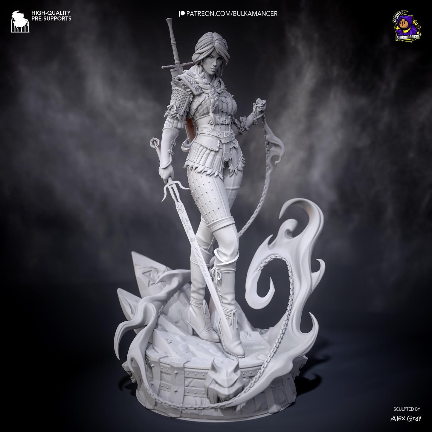 Ciri Garage Kit | Fanmade Model by Bulkamancer| The new Witcher | 3D Printed