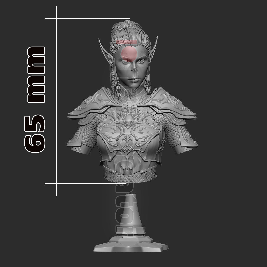 Baldur's Gate 3 Lae'zel Garage Kit | Fanmade Model by h3llCreator | Githyaanki warrior | 3D Printed - Sephiknot