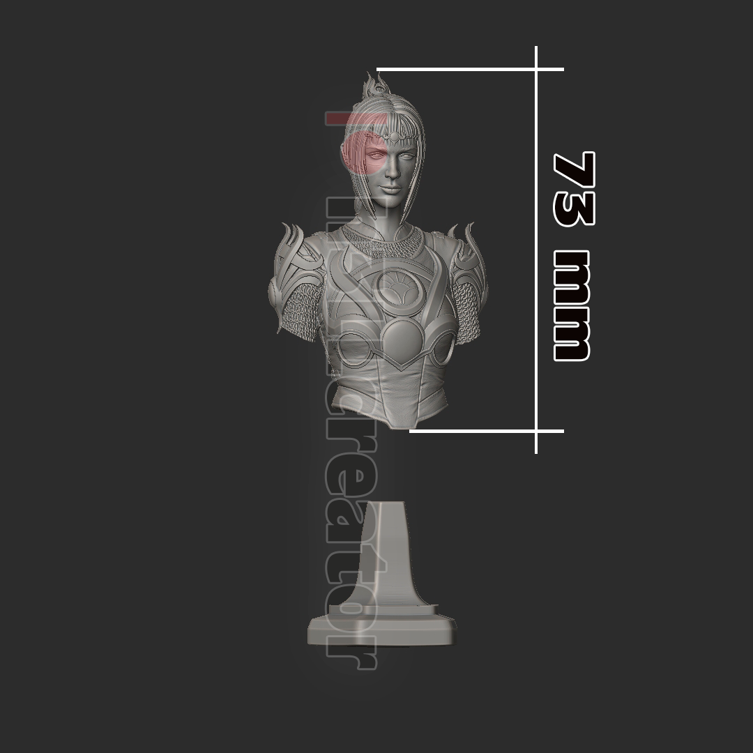 Baldurs Gate 3 Shadowheart Garage Kit | Fanmade Model | Gods favourite princess | 3D Printed - Sephiknot