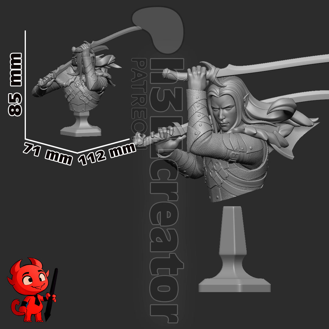Drizzt Do Urden Garage Kit | Fanmade Model by h3llCreator | Forgotten Realms | 3D Printed (Copy) - Sephiknot