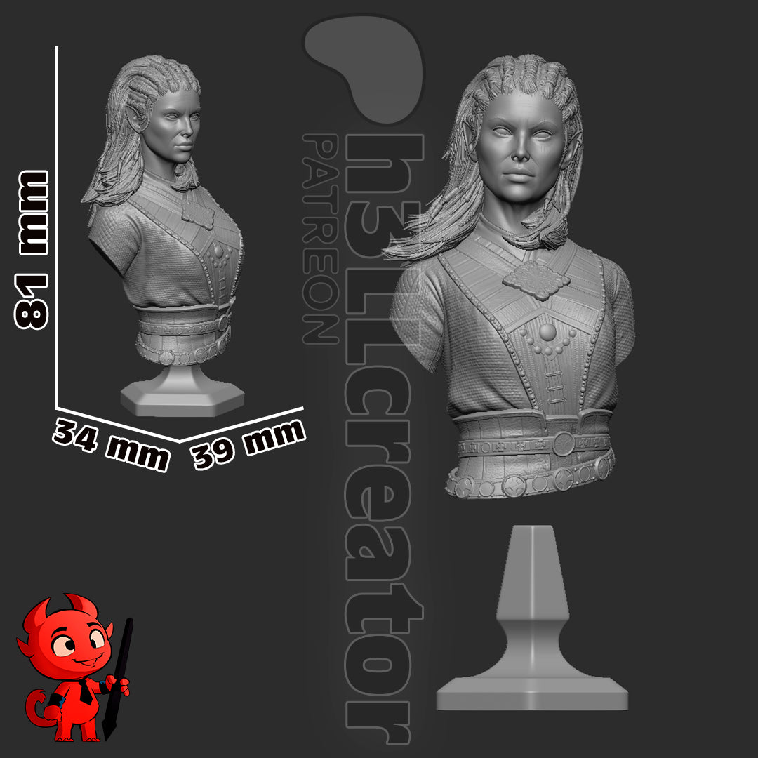 Jaheira Garage Kit | Fanmade Model by h3llCreator | Baldurs Gate | 3D Printed - Sephiknot