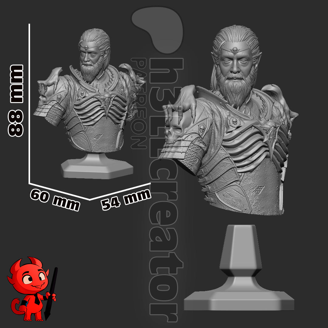 Ketheric Thorm Garage Kit | Fanmade Model by h3llCreator | Baldurs Gate | 3D Printed - Sephiknot