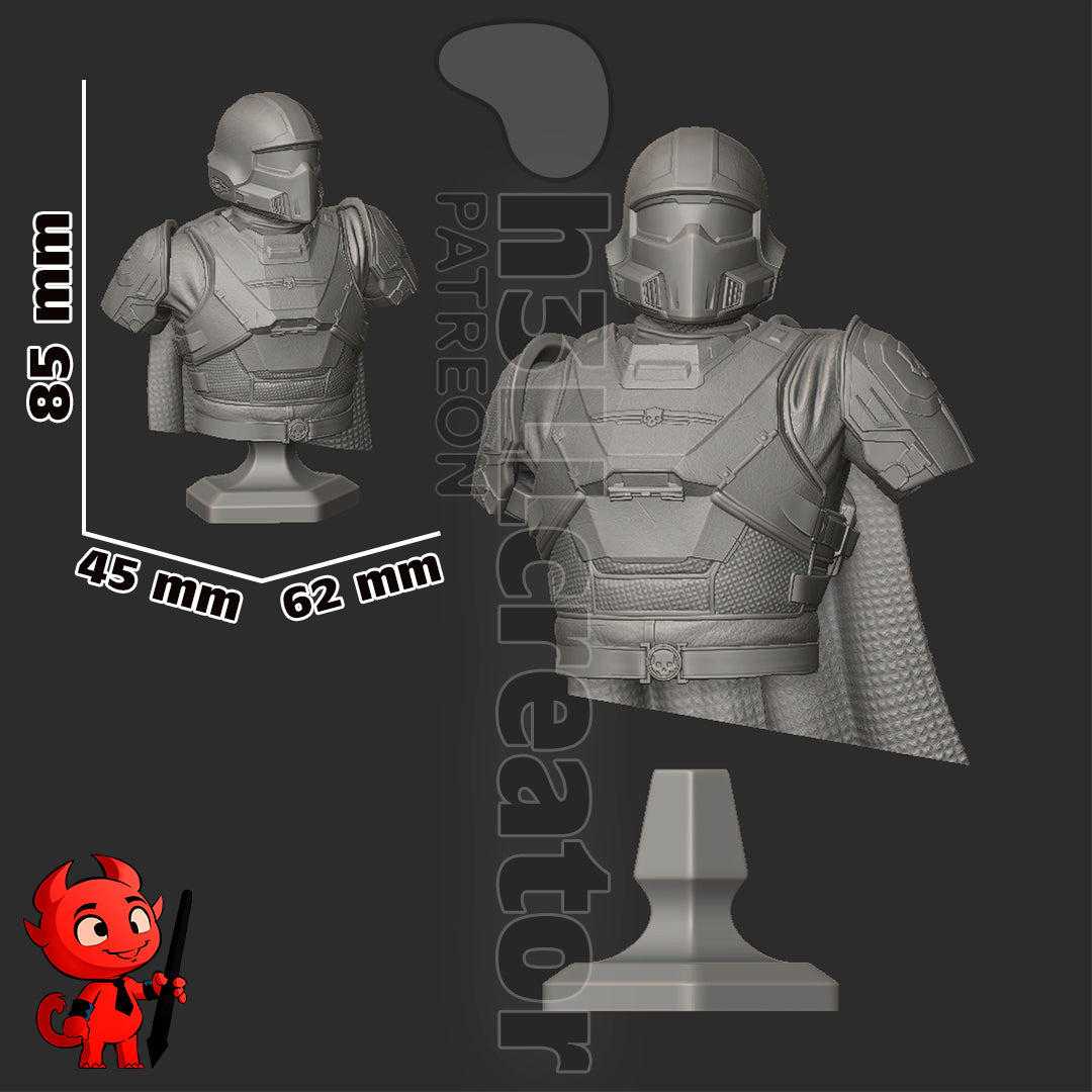 Helldiver Garage Kit | Fanmade Model by h3llCreator | Helldivers 2 | 3D Printed - Sephiknot