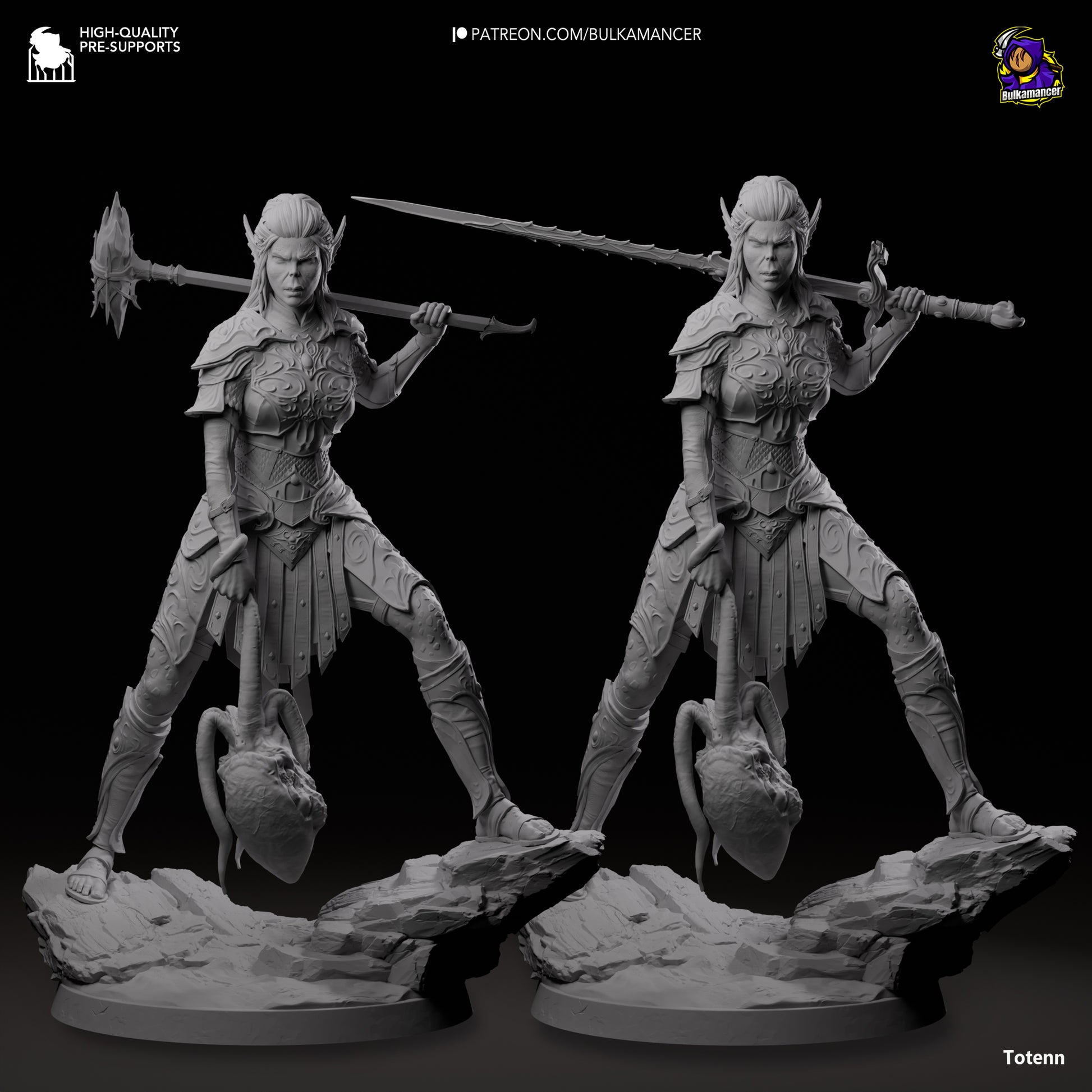 Baldur's Gate 3 Lae'zel Garage Kit | Fanmade Model by Bulkamancer | Githyaanki warrior | 3D Printed - Sephiknot
