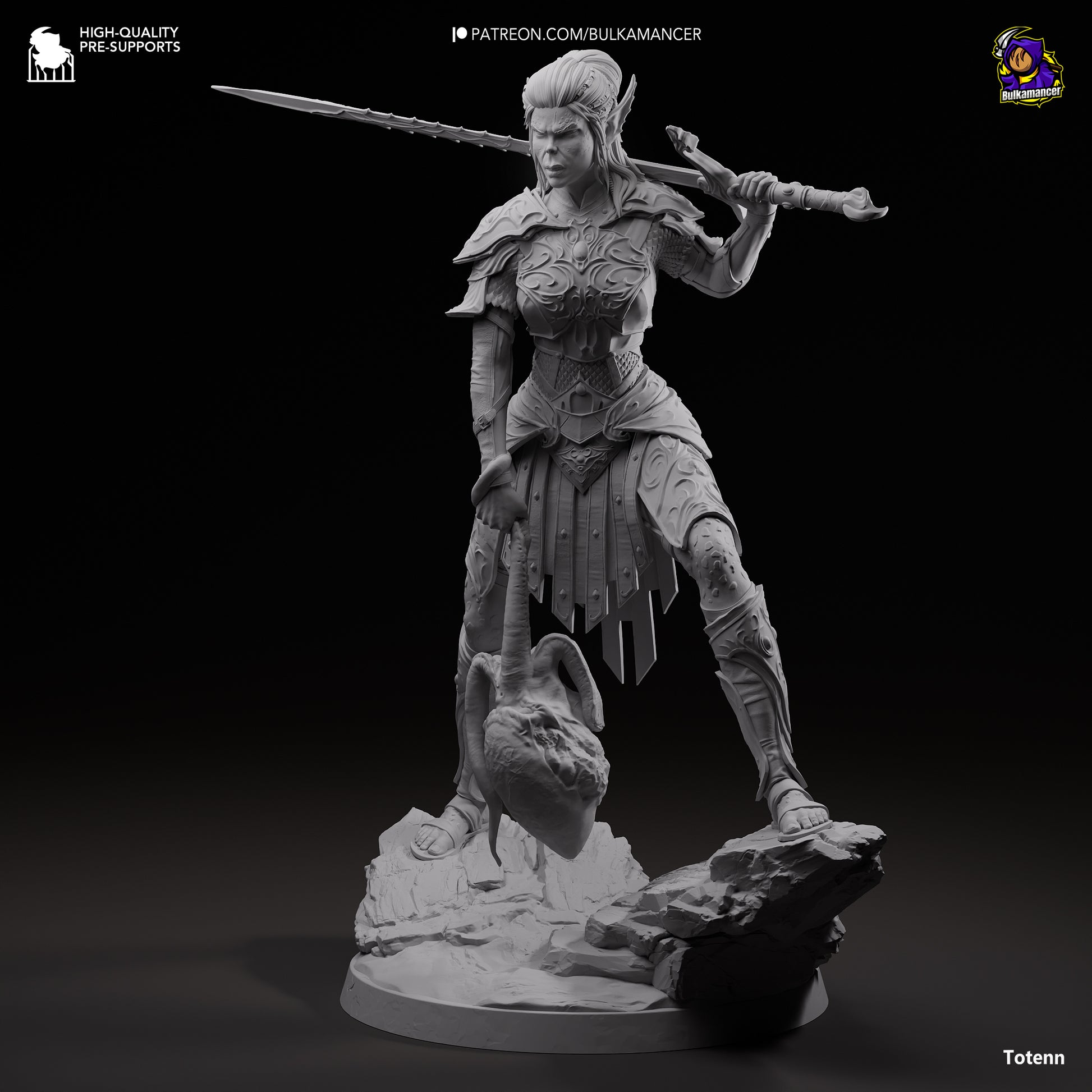 Baldur's Gate 3 Lae'zel Garage Kit | Fanmade Model by Bulkamancer | Githyaanki warrior | 3D Printed - Sephiknot